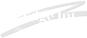 Edge Int Ltd